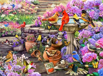 Jmine Div 5D, Красочный сад птиц, наборы для вышивки крестом, художественная 3D-роспись животных бриллиантами